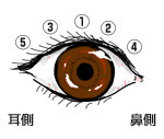 使用方法